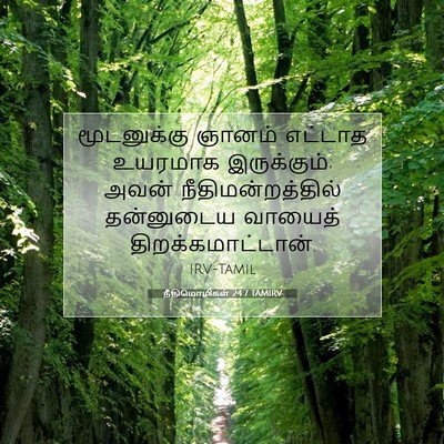 Picture 07 - நீதிமொழிகள் 24:7 TAMIRV - மூடனுக்கு ஞானம் - Bible Verse Picture