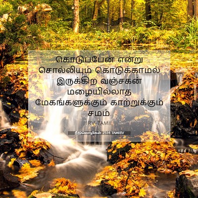 Picture 07 - நீதிமொழிகள் 25:14 TAMIRV - கொடுப்பேன் என்று - Bible Verse Picture