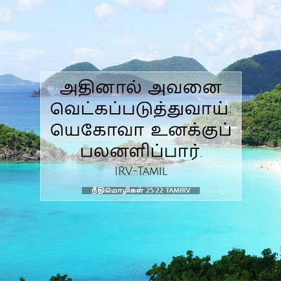 Picture 07 - நீதிமொழிகள் 25:22 TAMIRV - அதினால் அவனை - Bible Verse Picture