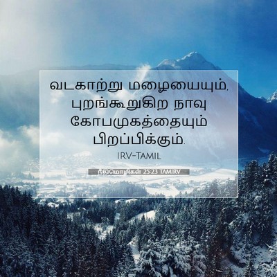 Picture 07 - நீதிமொழிகள் 25:23 TAMIRV - வடகாற்று - Bible Verse Picture