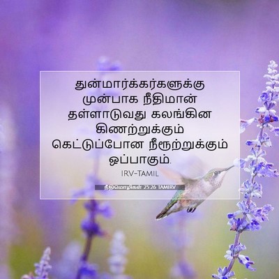 Picture 07 - நீதிமொழிகள் 25:26 TAMIRV -  - Bible Verse Picture
