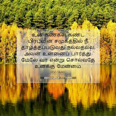 Picture 07 - நீதிமொழிகள் 25:7 TAMIRV - உன் கண்கள் கண்ட - Bible Verse Picture