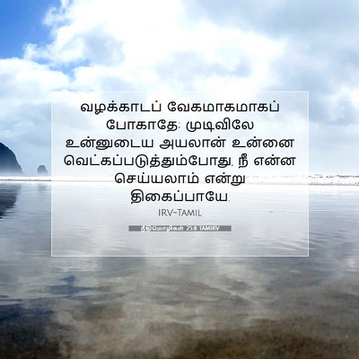 Picture 07 - நீதிமொழிகள் 25:8 TAMIRV - வழக்காடப் - Bible Verse Picture