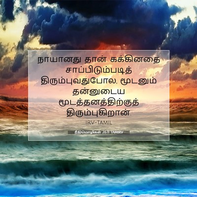 Picture 07 - நீதிமொழிகள் 26:11 TAMIRV - நாயானது தான் - Bible Verse Picture