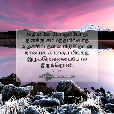 Picture 07 - நீதிமொழிகள் 26:17 TAMIRV - வழியிலே - Bible Verse Picture