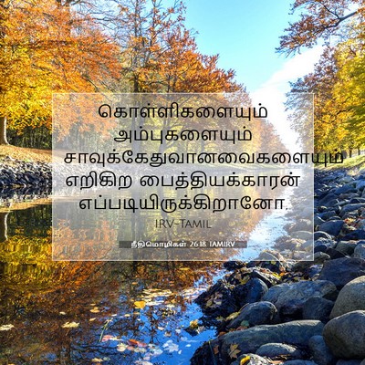 Picture 07 - நீதிமொழிகள் 26:18 TAMIRV - கொள்ளிகளையும் - Bible Verse Picture