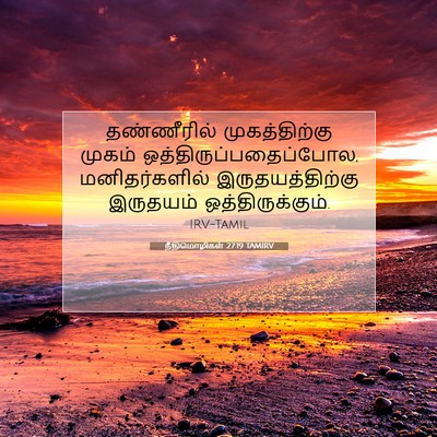 Picture 07 - நீதிமொழிகள் 27:19 TAMIRV - தண்ணீரில் - Bible Verse Picture