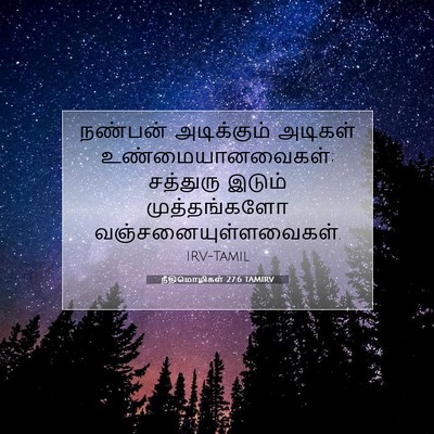 Picture 07 - நீதிமொழிகள் 27:6 TAMIRV - நண்பன் அடிக்கும் - Bible Verse Picture