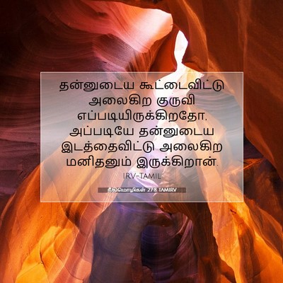 Picture 07 - நீதிமொழிகள் 27:8 TAMIRV - தன்னுடைய - Bible Verse Picture