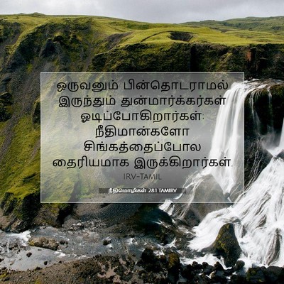 Picture 07 - நீதிமொழிகள் 28:1 TAMIRV - ஒருவனும் - Bible Verse Picture
