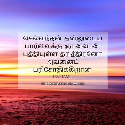 Picture 07 - நீதிமொழிகள் 28:11 TAMIRV - செல்வந்தன் - Bible Verse Picture