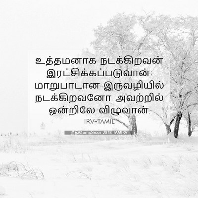 Picture 07 - நீதிமொழிகள் 28:18 TAMIRV - உத்தமனாக - Bible Verse Picture