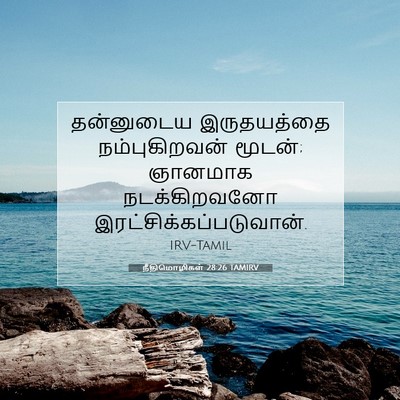 Picture 07 - நீதிமொழிகள் 28:26 TAMIRV - தன்னுடைய - Bible Verse Picture