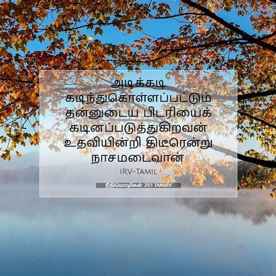 Picture 07 - நீதிமொழிகள் 29:1 TAMIRV - அடிக்கடி - Bible Verse Picture