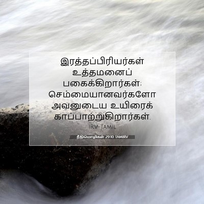 Picture 07 - நீதிமொழிகள் 29:10 TAMIRV -  - Bible Verse Picture