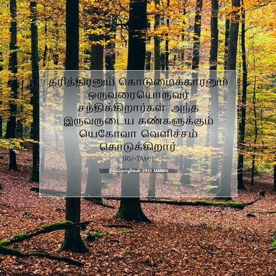Picture 07 - நீதிமொழிகள் 29:13 TAMIRV - தரித்திரனும் - Bible Verse Picture