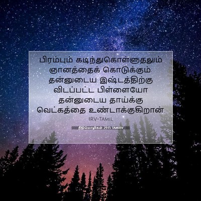 Picture 07 - நீதிமொழிகள் 29:15 TAMIRV - பிரம்பும் - Bible Verse Picture