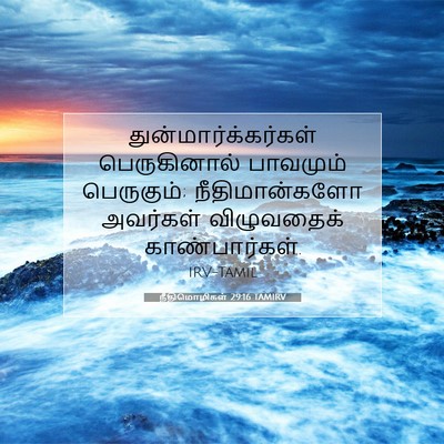 Picture 07 - நீதிமொழிகள் 29:16 TAMIRV - துன்மார்க்கர்கள் - Bible Verse Picture