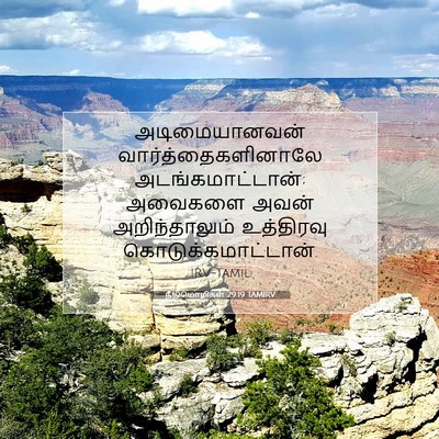 Picture 07 - நீதிமொழிகள் 29:19 TAMIRV - அடிமையானவன் - Bible Verse Picture