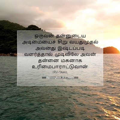 Picture 07 - நீதிமொழிகள் 29:21 TAMIRV - ஒருவன் தன்னுடைய - Bible Verse Picture