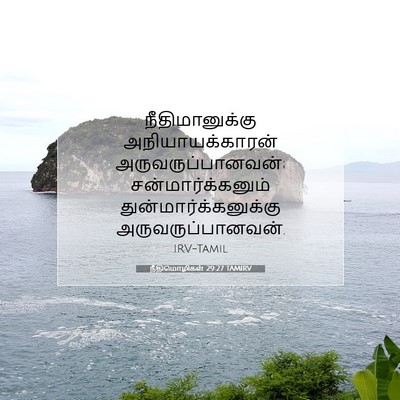 Picture 07 - நீதிமொழிகள் 29:27 TAMIRV - நீதிமானுக்கு - Bible Verse Picture