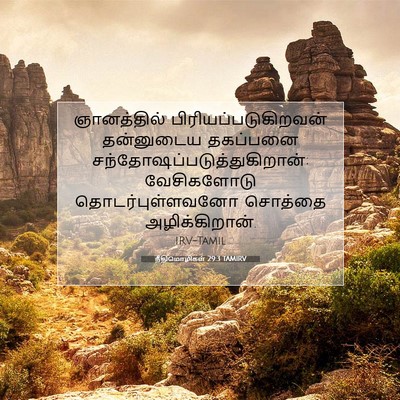 Picture 07 - நீதிமொழிகள் 29:3 TAMIRV - ஞானத்தில் - Bible Verse Picture