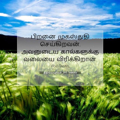 Picture 07 - நீதிமொழிகள் 29:5 TAMIRV - பிறனை முகஸ்துதி - Bible Verse Picture