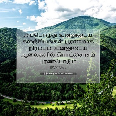 Picture 07 - நீதிமொழிகள் 3:10 TAMIRV - அப்பொழுது - Bible Verse Picture