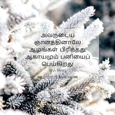 Picture 07 - நீதிமொழிகள் 3:20 TAMIRV - அவருடைய - Bible Verse Picture