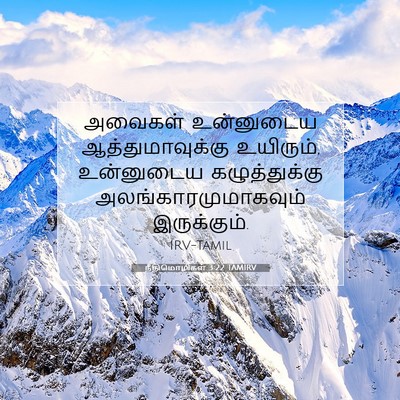 Picture 07 - நீதிமொழிகள் 3:22 TAMIRV - அவைகள் உன்னுடைய - Bible Verse Picture
