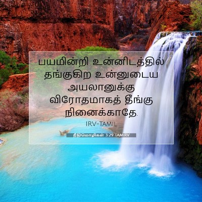Picture 07 - நீதிமொழிகள் 3:29 TAMIRV - பயமின்றி - Bible Verse Picture
