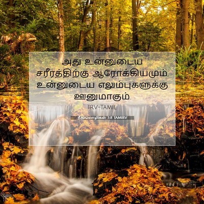 Picture 07 - நீதிமொழிகள் 3:8 TAMIRV - அது உன்னுடைய - Bible Verse Picture