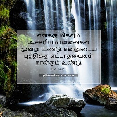 Picture 07 - நீதிமொழிகள் 30:18 TAMIRV - எனக்கு மிகவும் - Bible Verse Picture