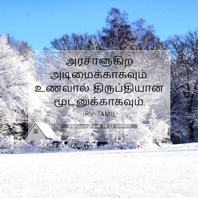 Picture 07 - நீதிமொழிகள் 30:22 TAMIRV - அரசாளுகிற - Bible Verse Picture