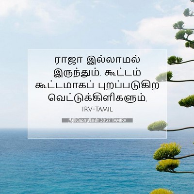 Picture 07 - நீதிமொழிகள் 30:27 TAMIRV - ராஜா இல்லாமல் - Bible Verse Picture