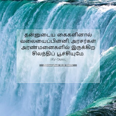 Picture 07 - நீதிமொழிகள் 30:28 TAMIRV - தன்னுடைய - Bible Verse Picture