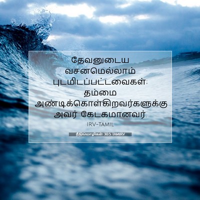 Picture 07 - நீதிமொழிகள் 30:5 TAMIRV - தேவனுடைய - Bible Verse Picture
