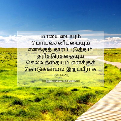 Picture 07 - நீதிமொழிகள் 30:8 TAMIRV - மாயையையும் - Bible Verse Picture