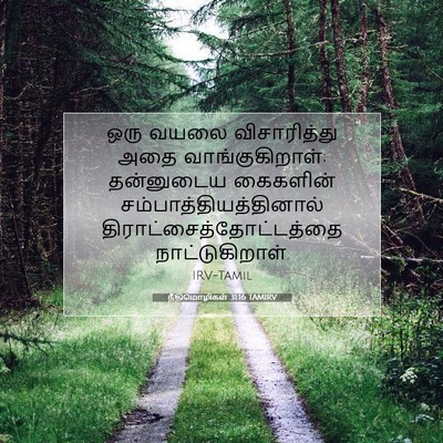 Picture 07 - நீதிமொழிகள் 31:16 TAMIRV - ஒரு வயலை - Bible Verse Picture