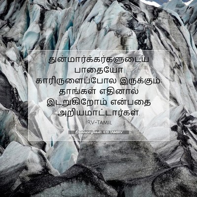 Picture 07 - நீதிமொழிகள் 4:19 TAMIRV -  - Bible Verse Picture