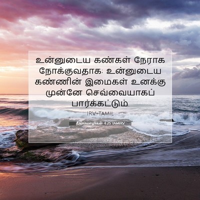 Picture 07 - நீதிமொழிகள் 4:25 TAMIRV - உன்னுடைய கண்கள் - Bible Verse Picture