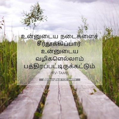Picture 07 - நீதிமொழிகள் 4:26 TAMIRV - உன்னுடைய நடைகளைச் - Bible Verse Picture