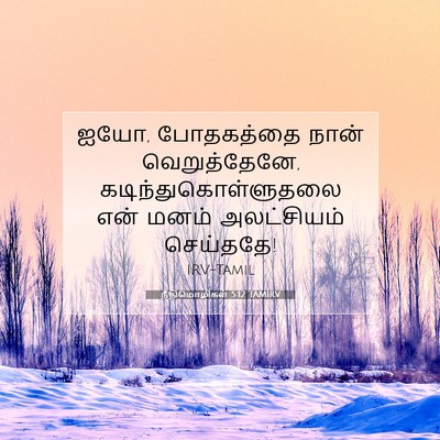 Picture 07 - நீதிமொழிகள் 5:12 TAMIRV - ஐயோ, போதகத்தை நான் - Bible Verse Picture