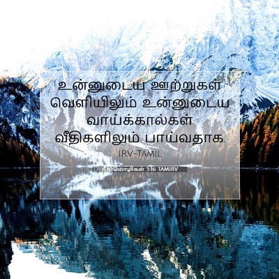 Picture 07 - நீதிமொழிகள் 5:16 TAMIRV - உன்னுடைய ஊற்றுகள் - Bible Verse Picture