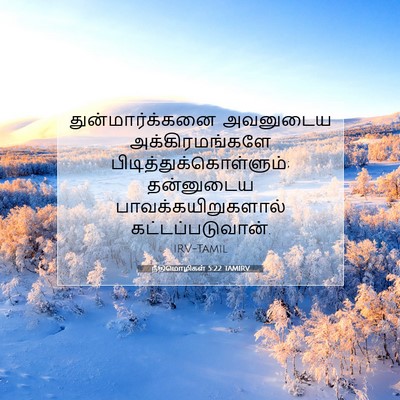 Picture 07 - நீதிமொழிகள் 5:22 TAMIRV - துன்மார்க்கனை - Bible Verse Picture