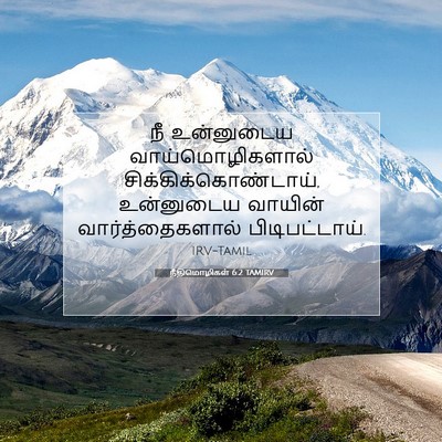 Picture 07 - நீதிமொழிகள் 6:2 TAMIRV - நீ உன்னுடைய - Bible Verse Picture
