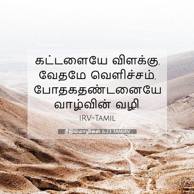 Picture 07 - நீதிமொழிகள் 6:23 TAMIRV - கட்டளையே விளக்கு, - Bible Verse Picture