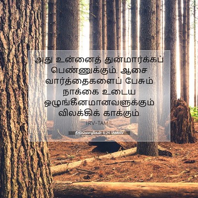 Picture 07 - நீதிமொழிகள் 6:24 TAMIRV - அது உன்னைத் - Bible Verse Picture