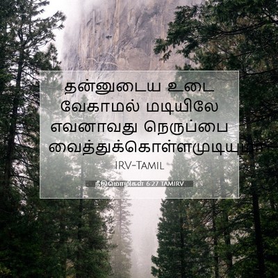 Picture 07 - நீதிமொழிகள் 6:27 TAMIRV - தன்னுடைய உடை - Bible Verse Picture