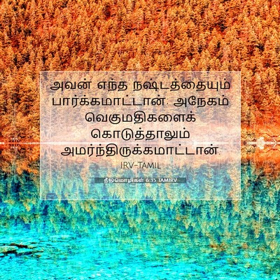 Picture 07 - நீதிமொழிகள் 6:35 TAMIRV - அவன் எந்த - Bible Verse Picture